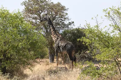 DSC_3441 (Large).JPG